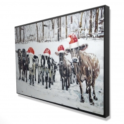 Curious christmas cows
