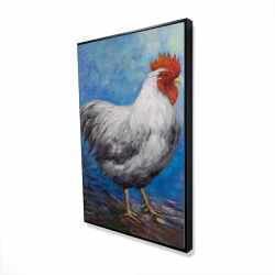 Poule grise