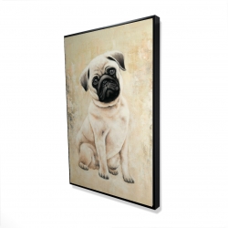 Petit chien pug