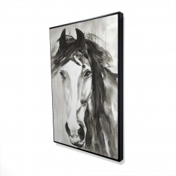 Magnifique cheval sauvage