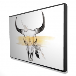 Cow skull with feather