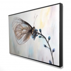 Papillon sur fleurs bleues