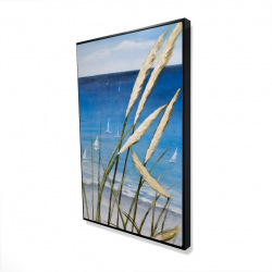 Oyat plant and seaside