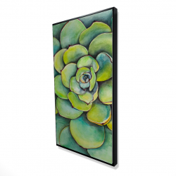 Succulent à l'aquarelle
