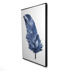 Blue feather
