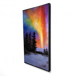 Aurora borealis in the forest