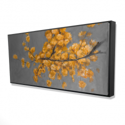 Framed 24 x 48 - 3D - Golden wattle plant with pugg ball flowers