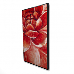Red chrysanthemum