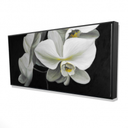 Framed 24 x 48 - 3D - White orchids