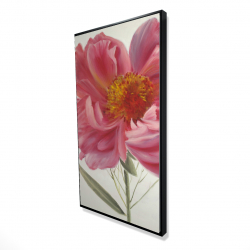 Framed 24 x 48 - 3D - Pink peony flower