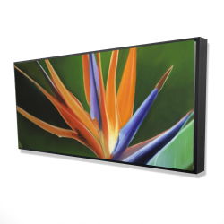 Framed 24 x 48 - 3D - Bird of paradise flower 