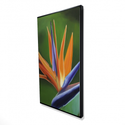 Framed 24 x 48 - 3D - Bird of paradise flower 