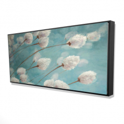 Cotton grass plants in the wind