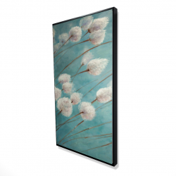 Cotton grass plants in the wind