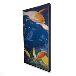 Poissons colorés sous l'océan