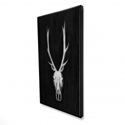 Deer skull on black background