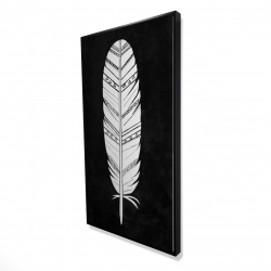 Native american feather