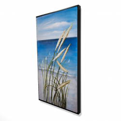 Oyat plant and seaside