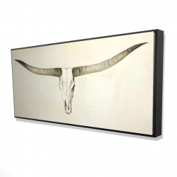 Longhorn cattle skull