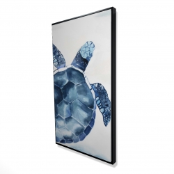 Tortue bleu