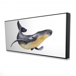 Baleine bleue aquarelle