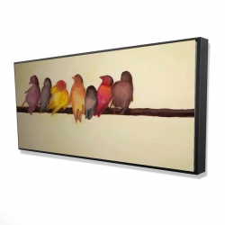 Bird family