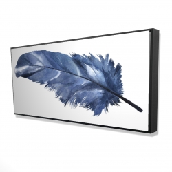 Blue feather