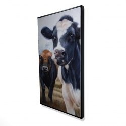 Two cows eating grass