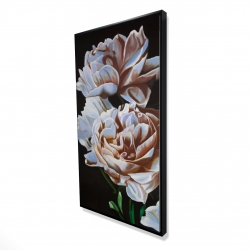 Peonies