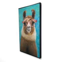 Aimable llama