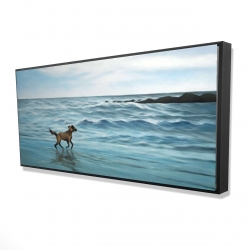 Chien à la plage