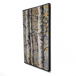 Blossoming birches