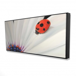 Framed 24 x 48 - 3D - White daisy and ladybug