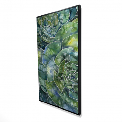 Succulents abstrait