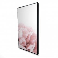 Peony flower dream