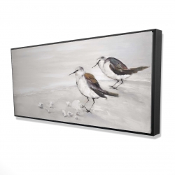 Deux oiseaux bécasseau