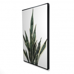 Encadré 24 x 48 - 3D - Plante couteau