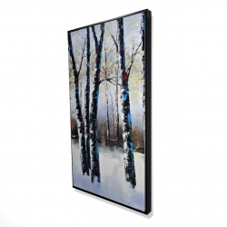 Arbres gelés