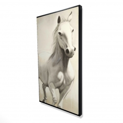 Gallant white horse