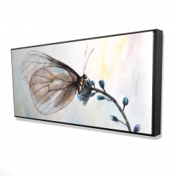 Papillon sur fleurs bleues