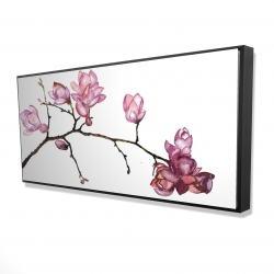 Branche de fleurs de cerisier