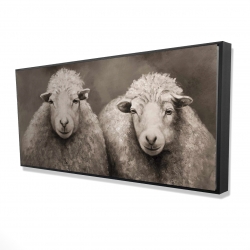 Moutons sépia
