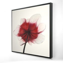 Framed 48 x 48 - 3D - Anemone red flower