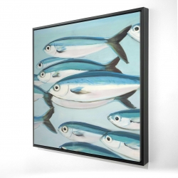 Framed 36 x 36 - 3D - Small fish of caesio caerulaurea