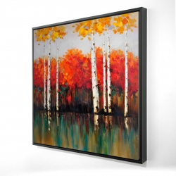 Bouleaux en automne