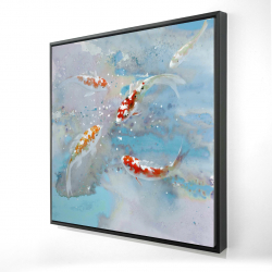 Framed 24 x 24 - 3D - Koi fish swimming in blue water