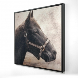 Gallopin le cheval brun