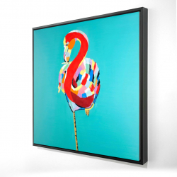 Flamant coloré