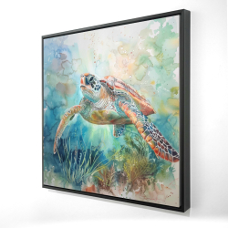 Turtle