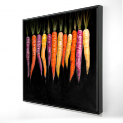 Variétés de carottes